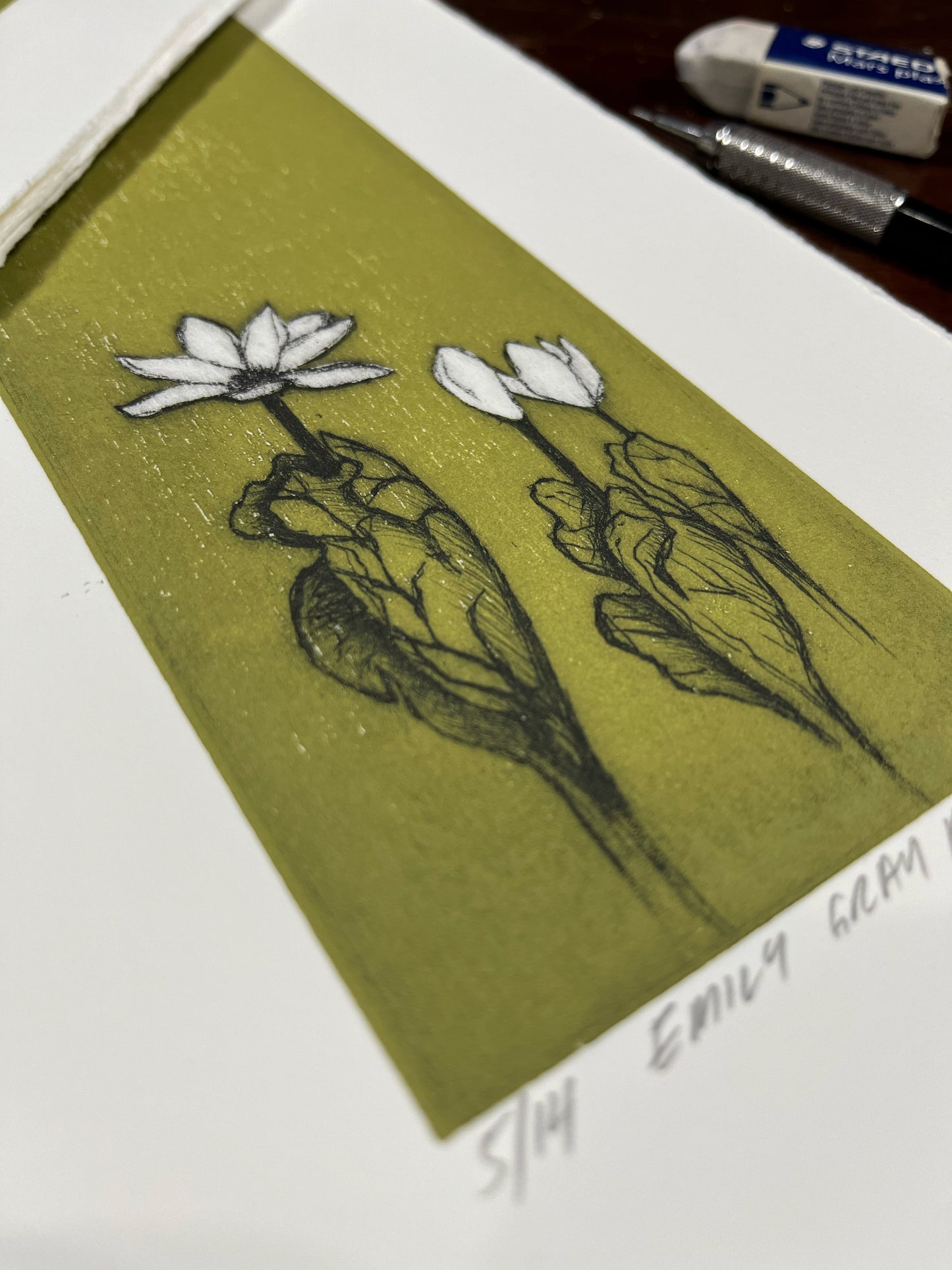 Bloodroot