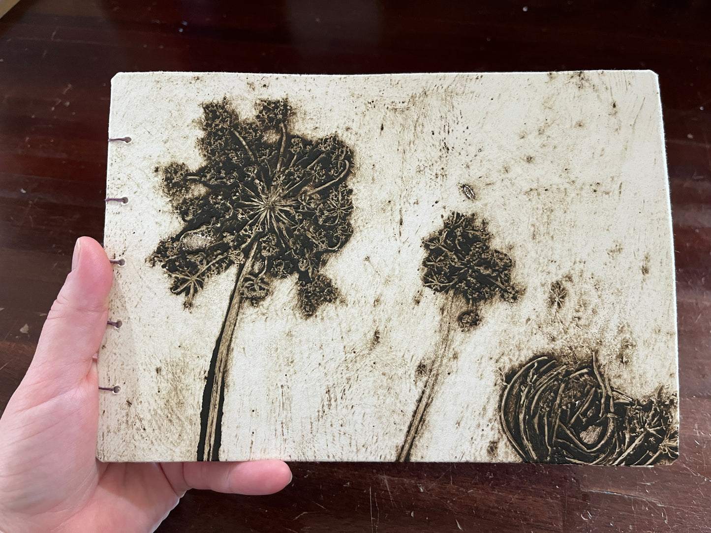 Sketchbook: Queen Anne's Lace