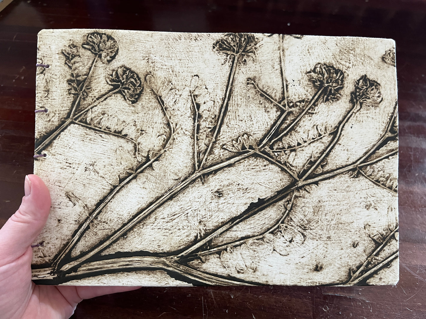 Sketchbook: Purple Vetch