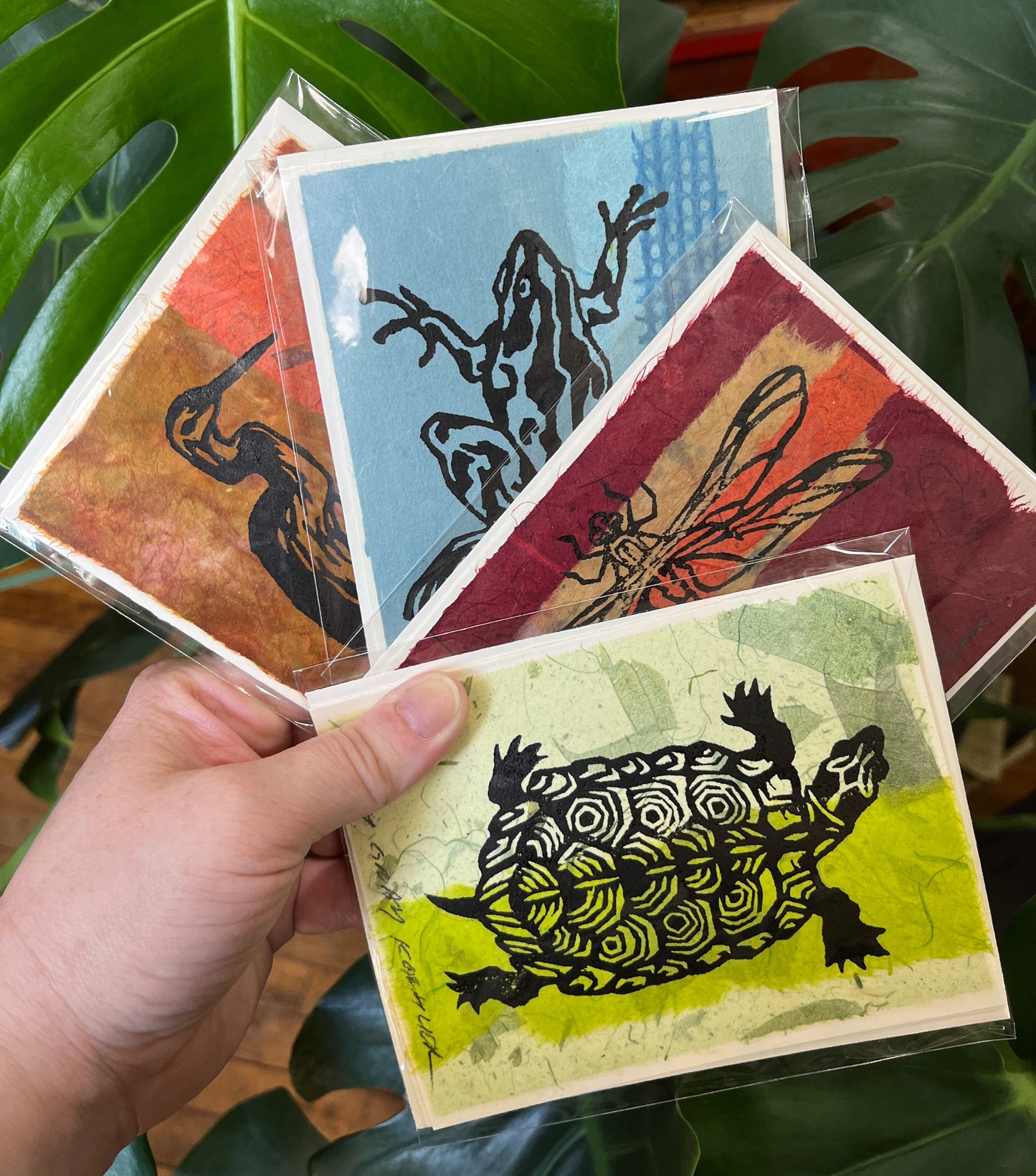 Pond Life Cards (4 Pack)