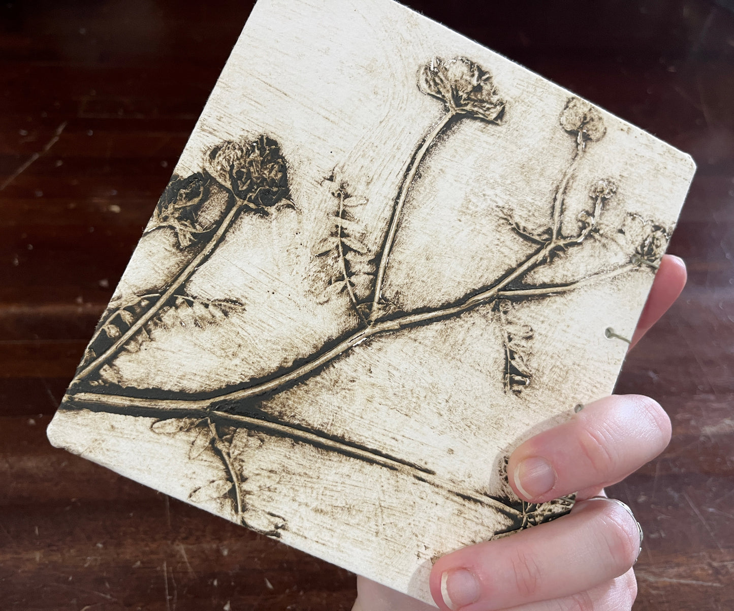Sketchbook: Green Vetch