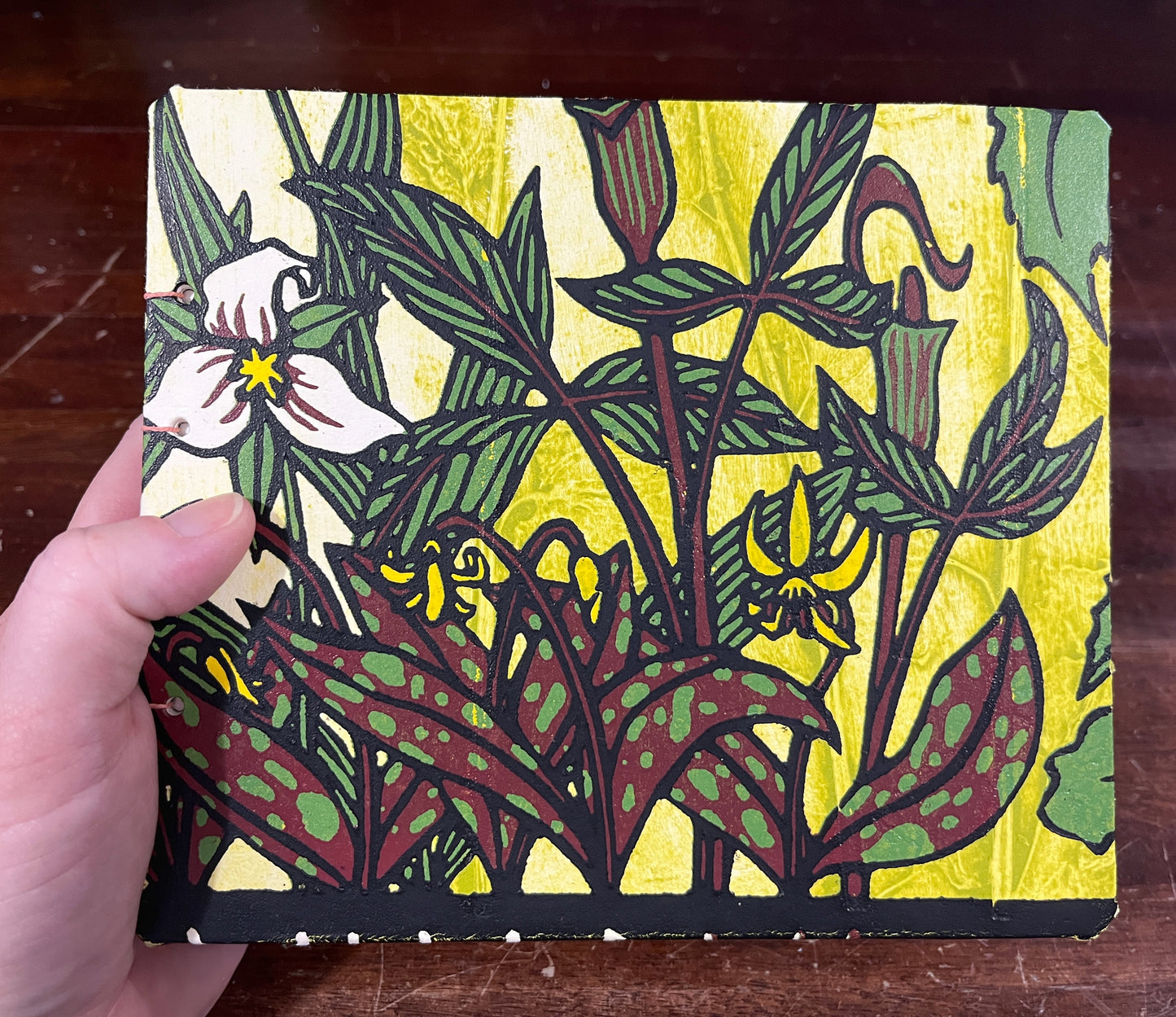 Sketchbook: Spring Ephemerals
