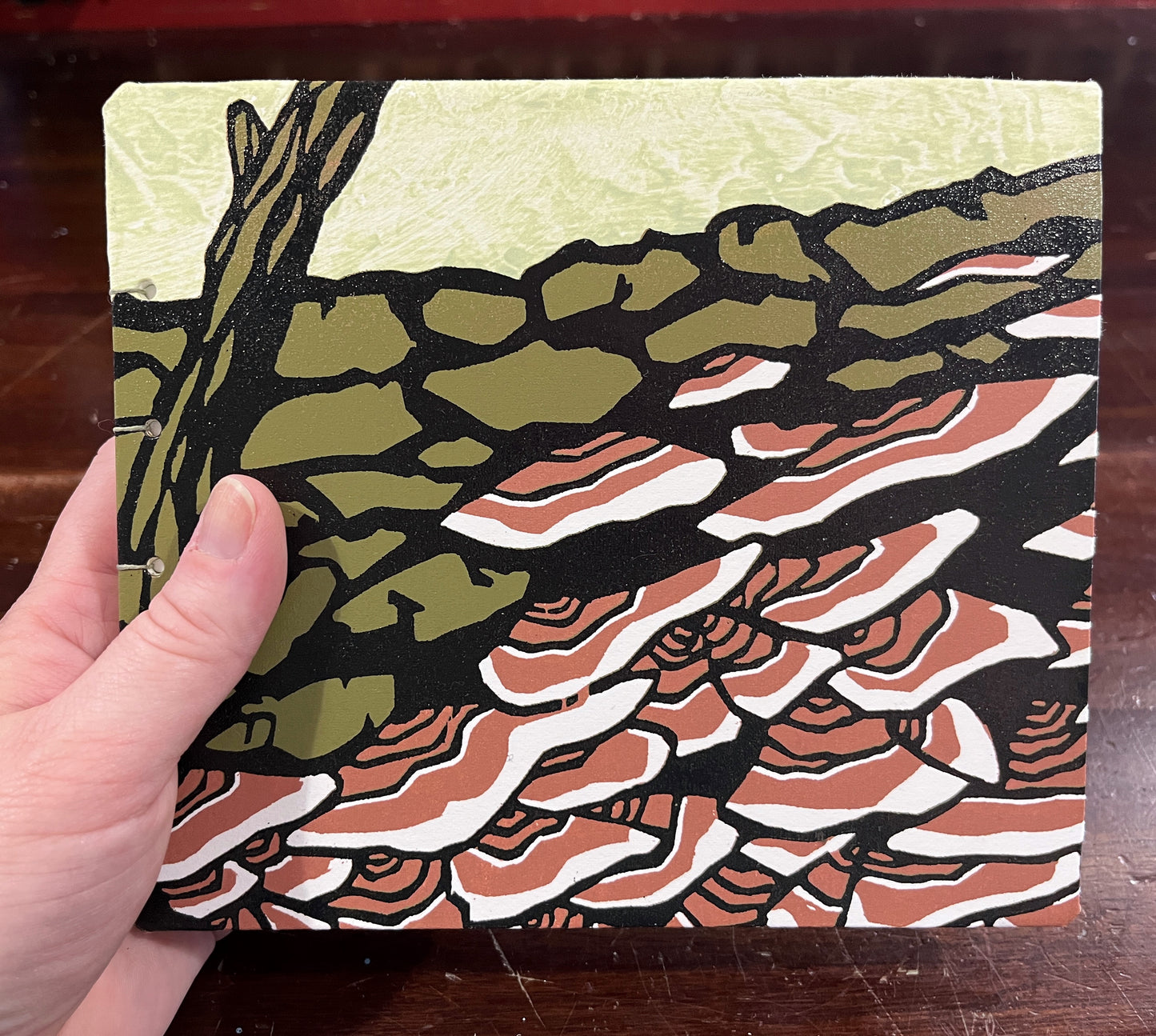 Sketchbook: Turkey Tail Mushrooms