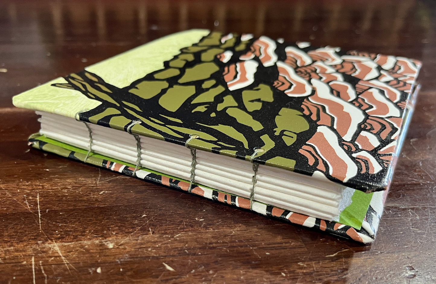 Sketchbook: Turkey Tail Mushrooms