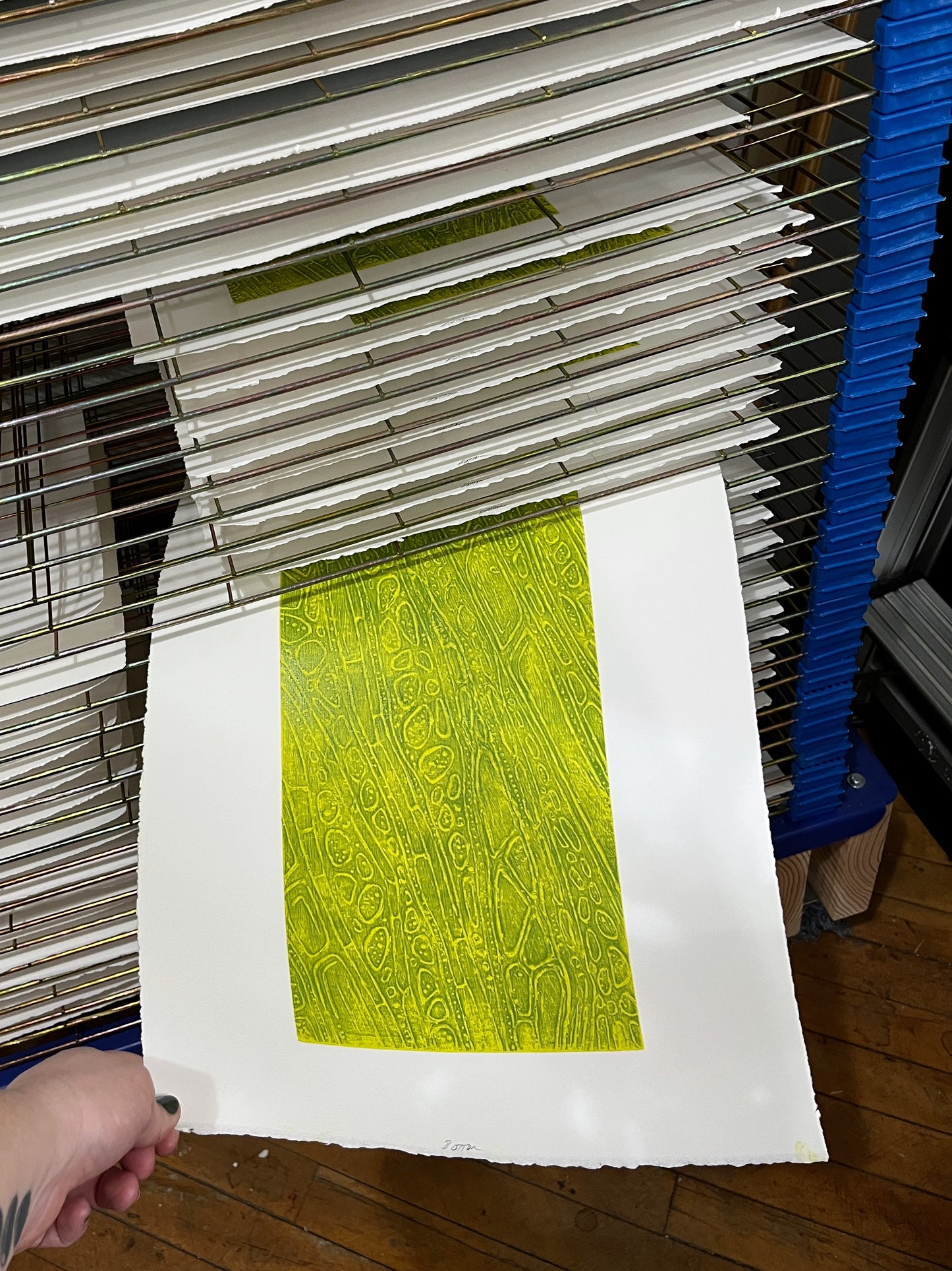 Leaflets Appear as Wings