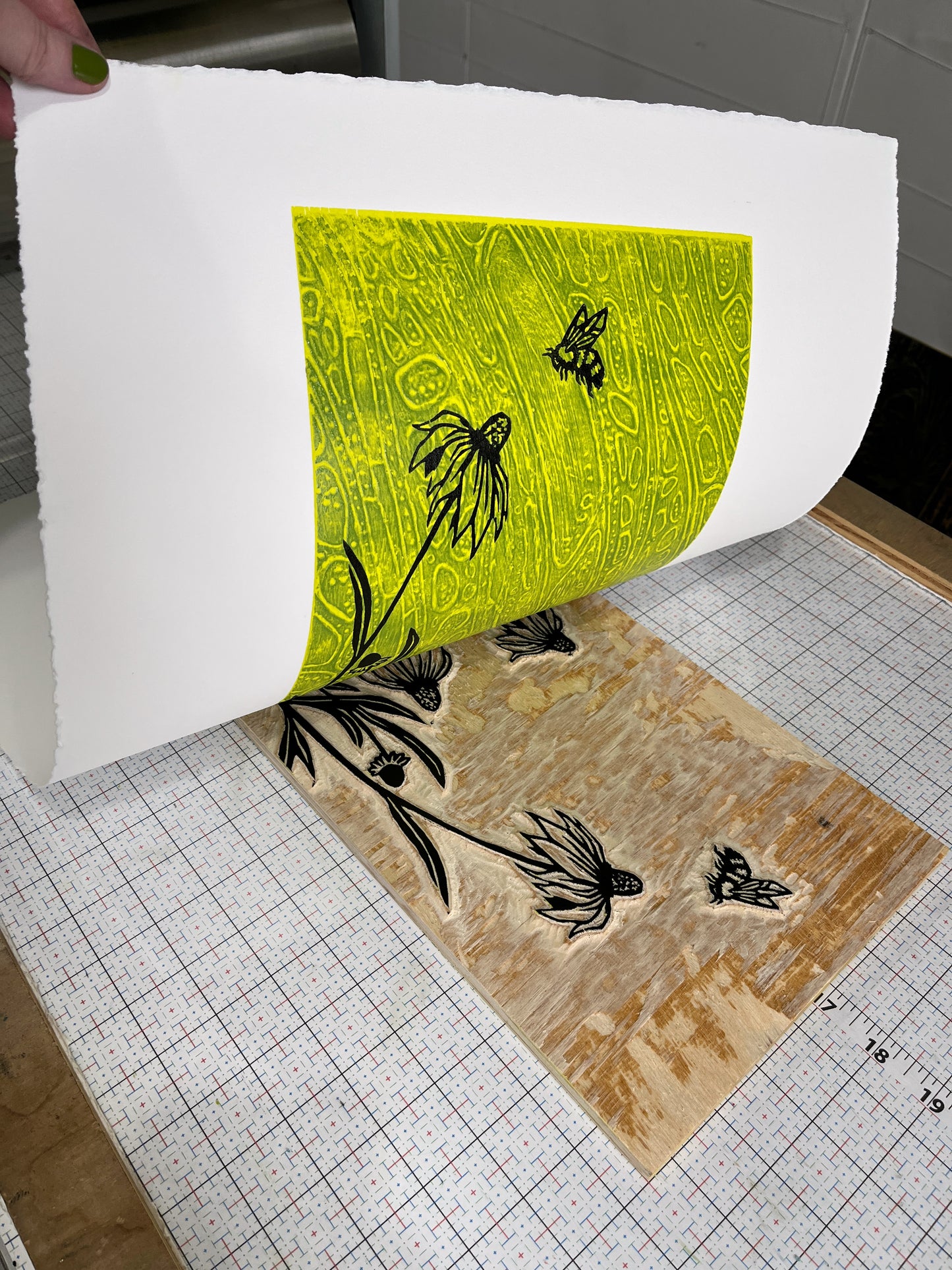 Leaflets Appear as Wings
