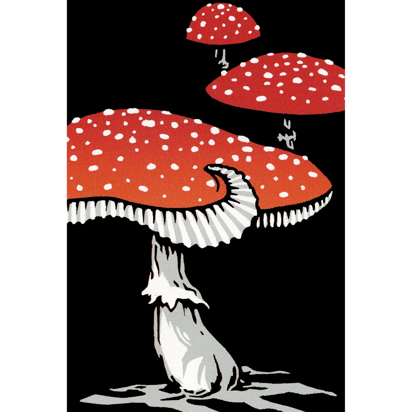 Fly Agaric