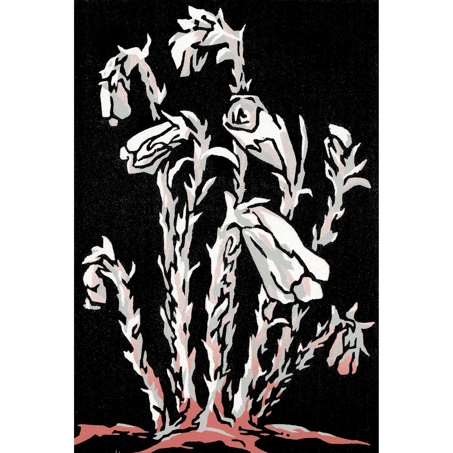 Ghost Plant