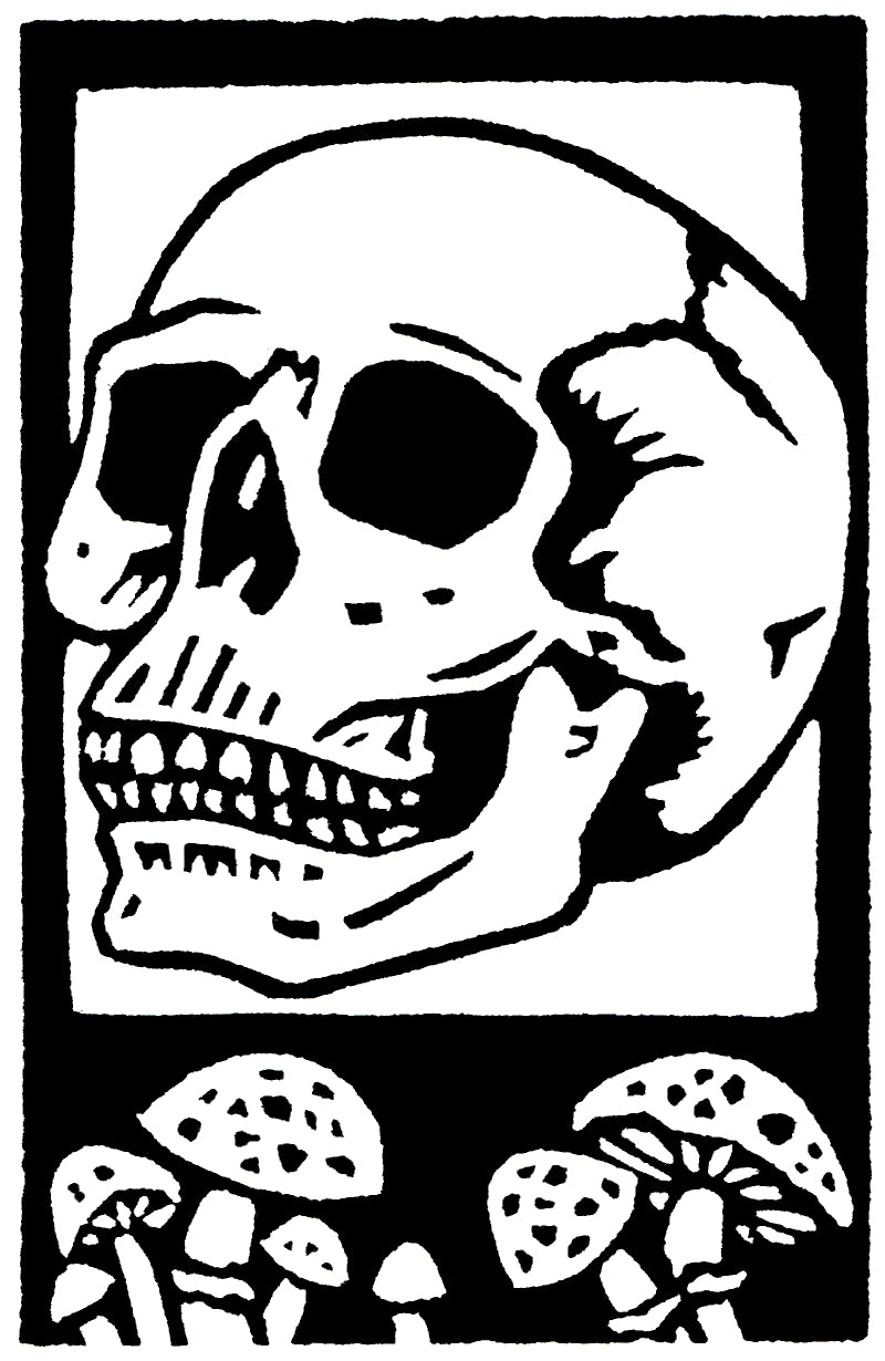 Haunted Cards (4 Pack)