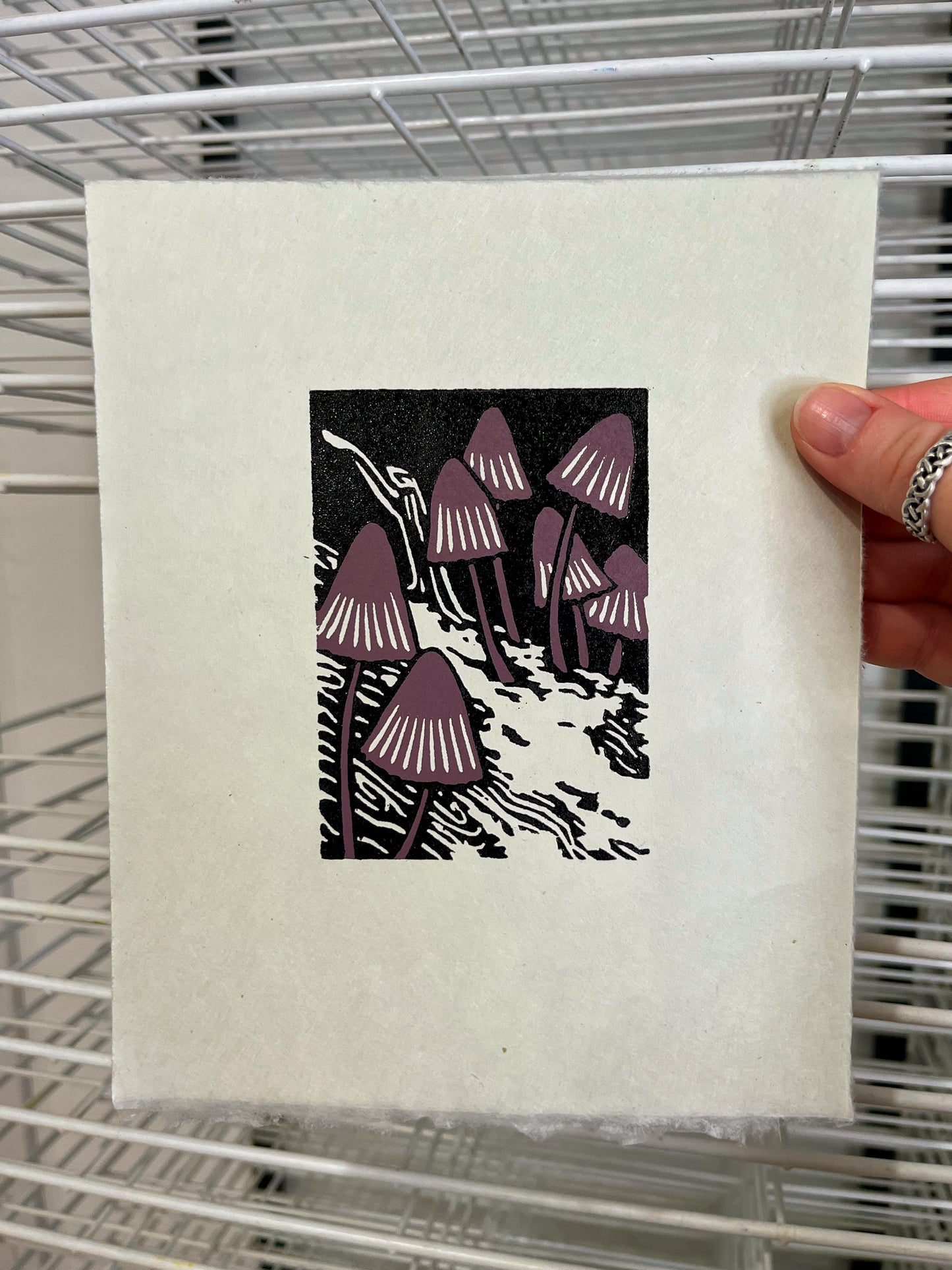 Mycena