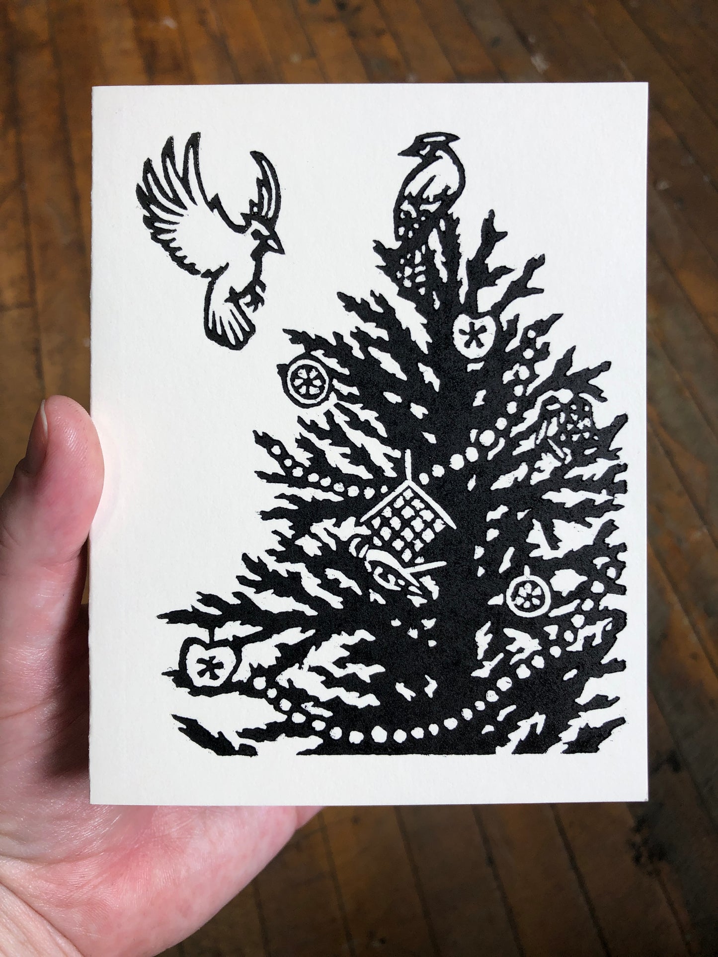 For the Birds Cards (4 Pack)
