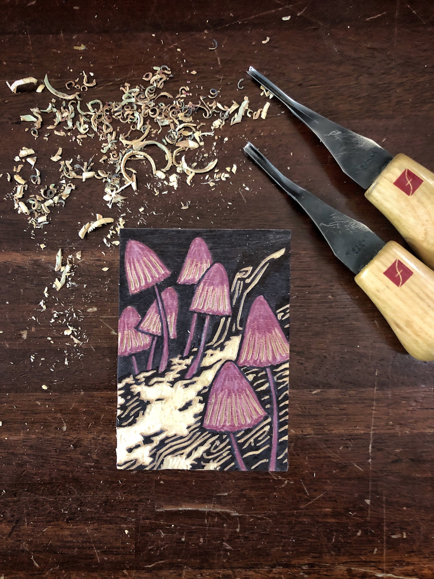 Mycena