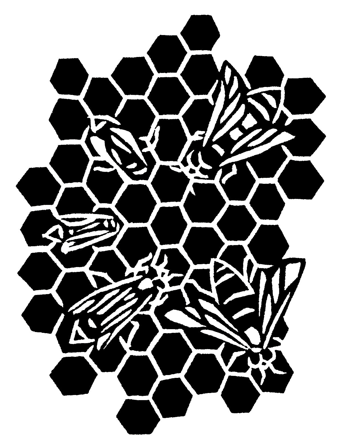 Bee Cards (4 Pack)