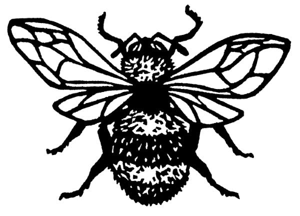 Bee Cards (4 Pack)