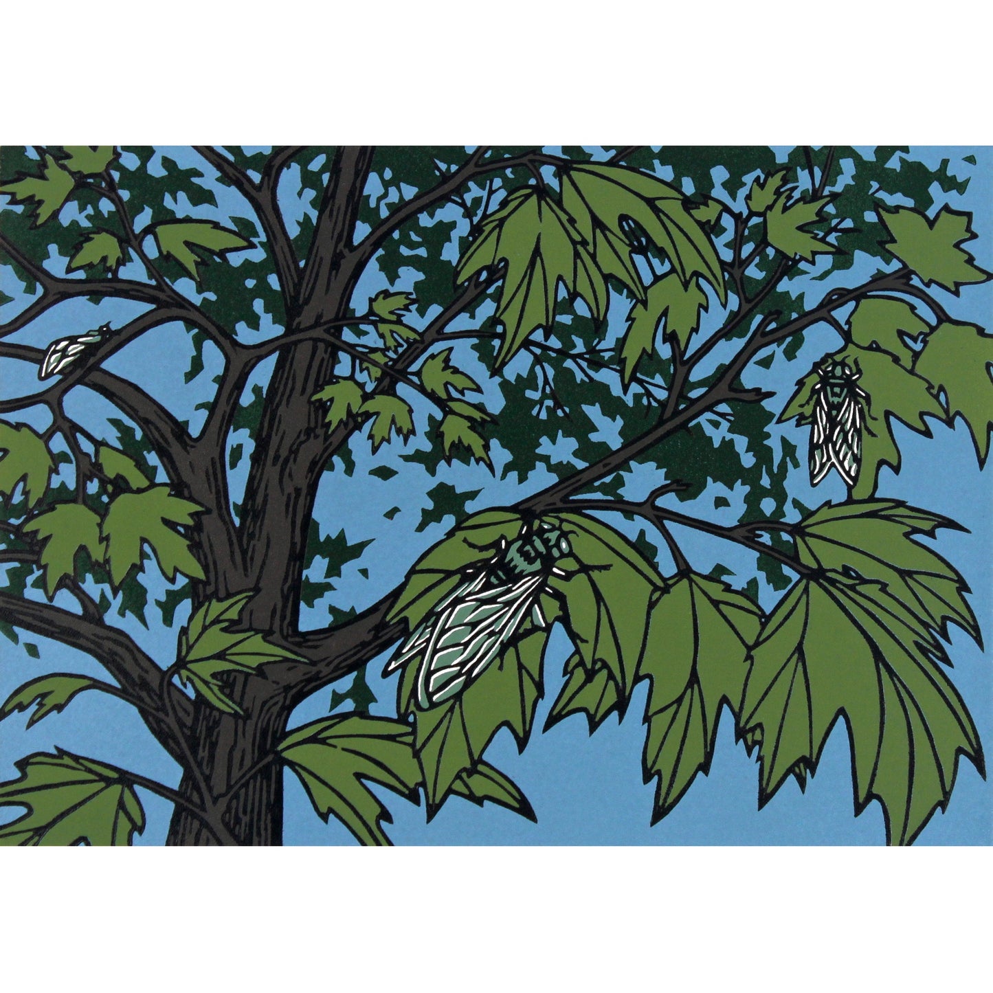 Cicada Song