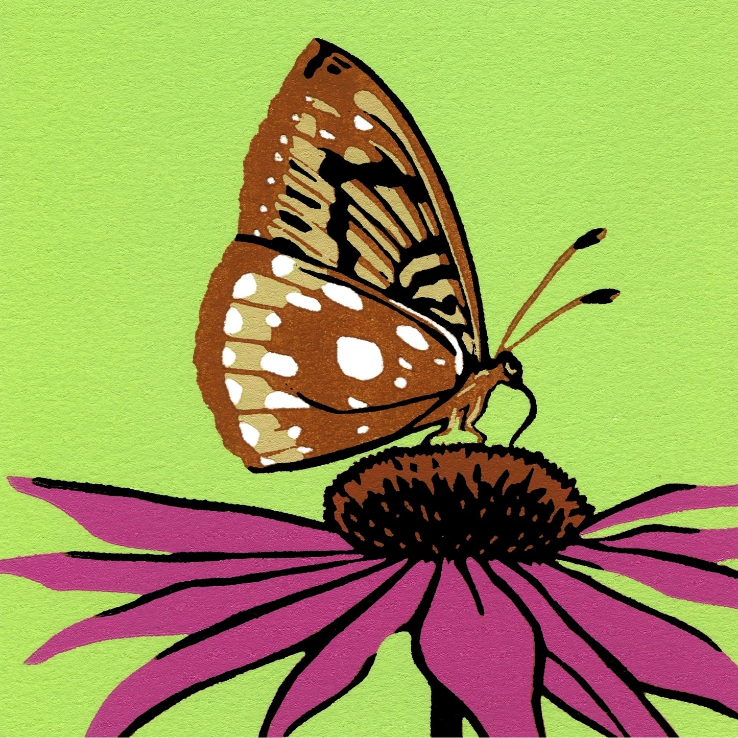 Feasting Fritillary