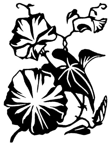 Garden Cards (4 Pack)