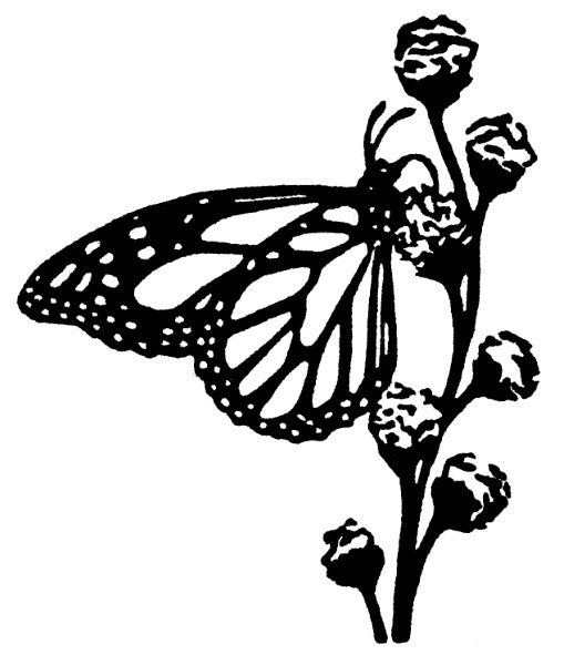 Garden Cards (4 Pack)
