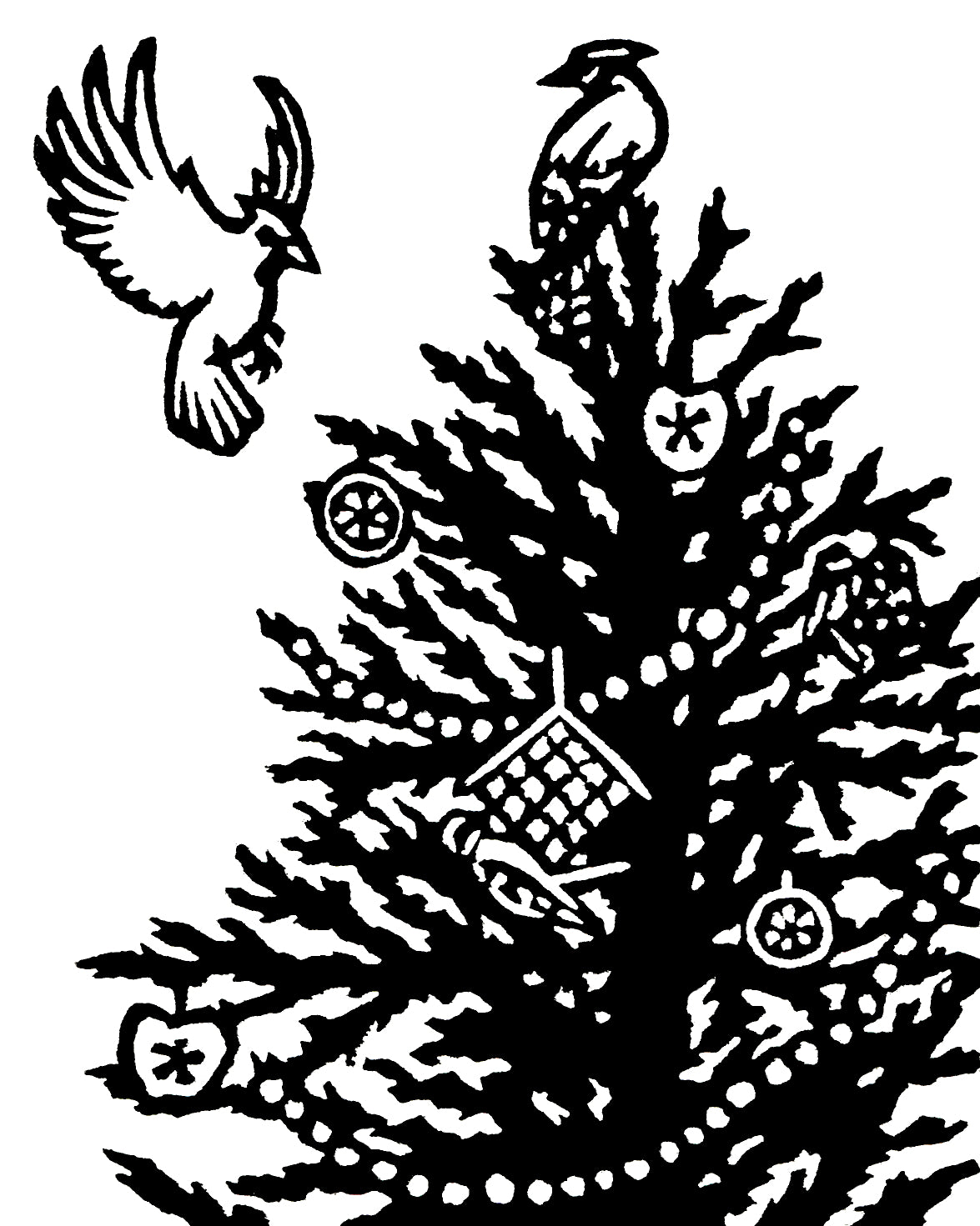 For the Birds Cards (4 Pack)