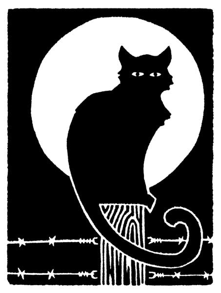 Haunted Cards (4 Pack)
