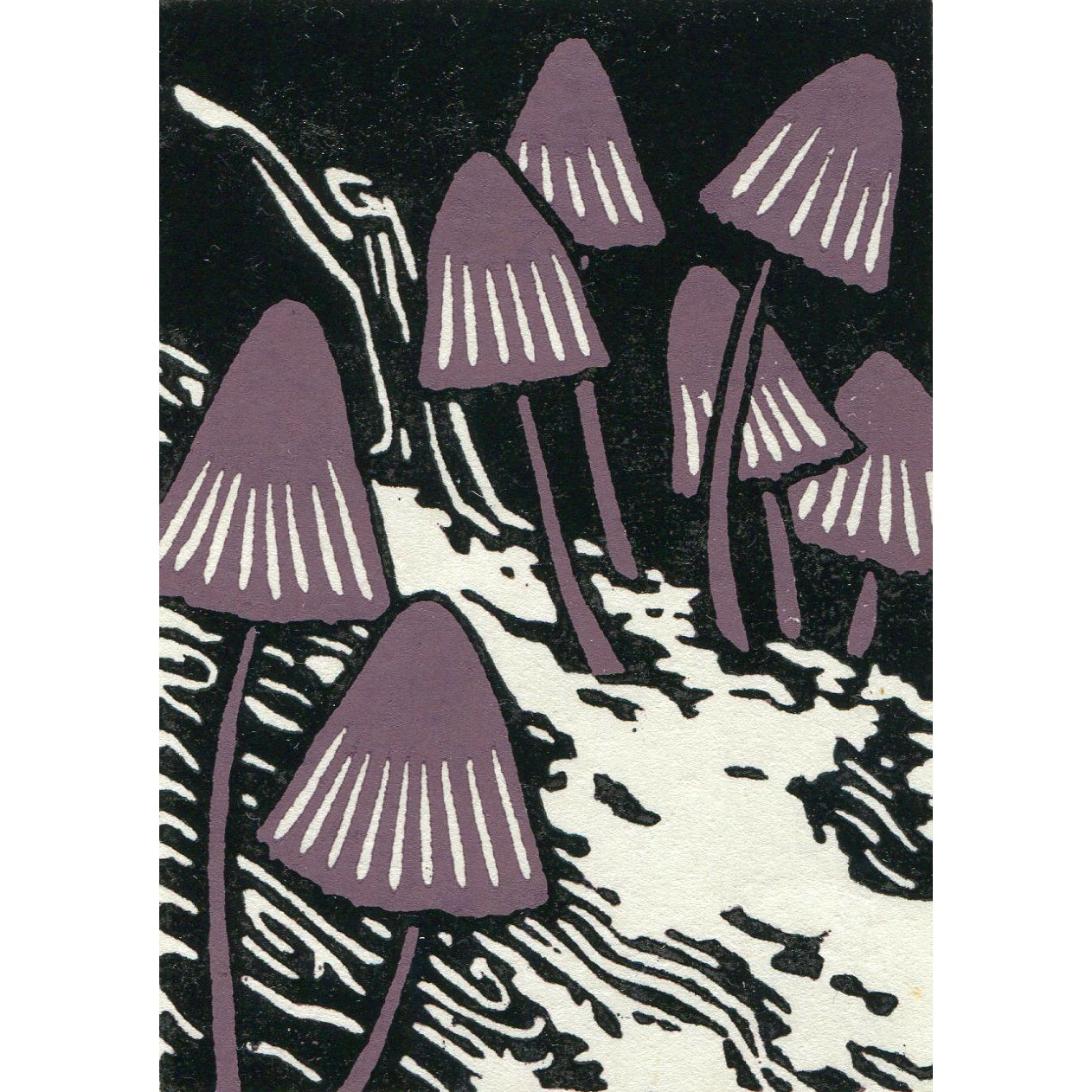 Mycena