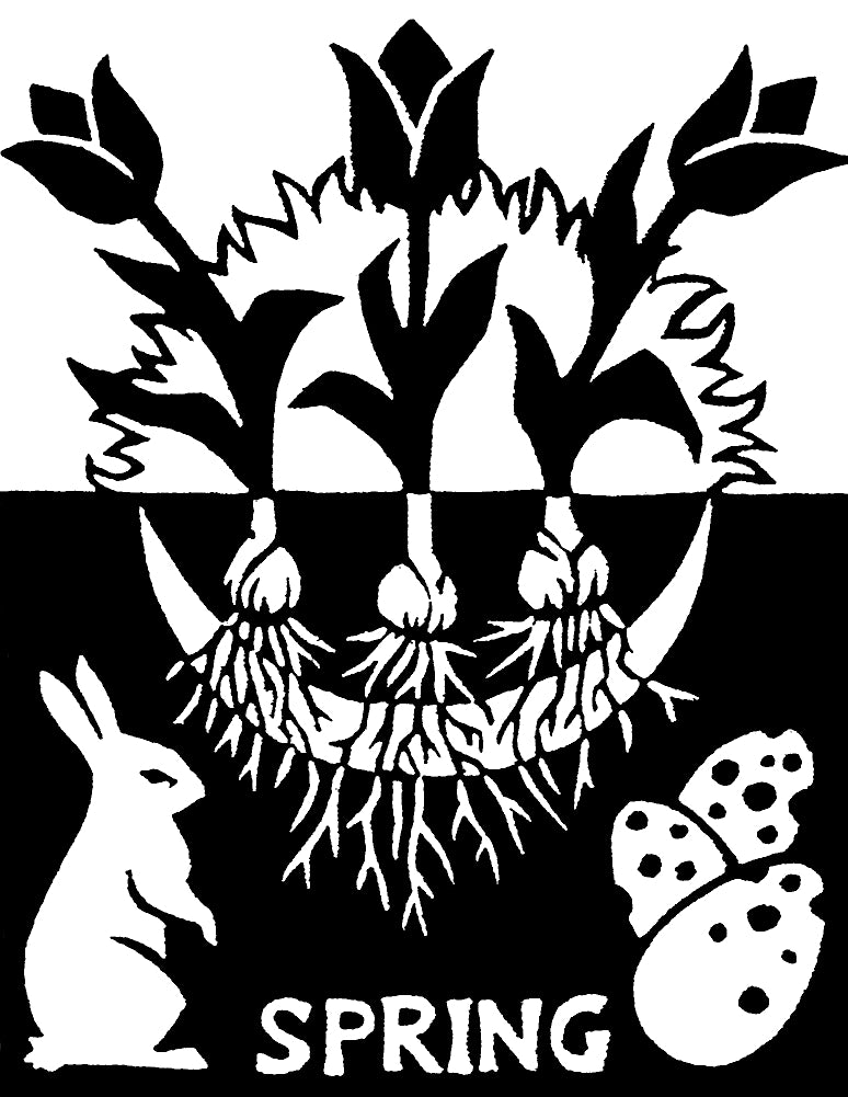 Equinox & Solstice Cards (4 Pack)