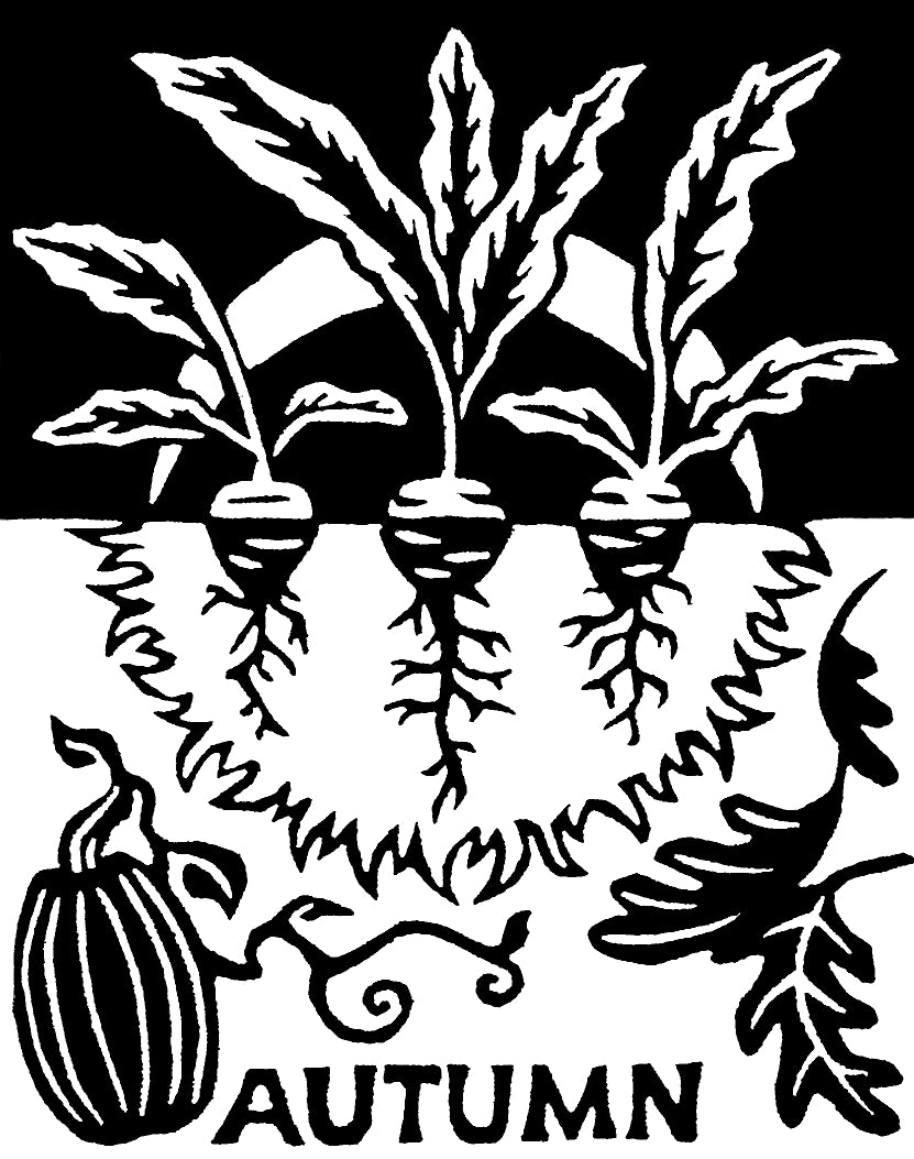 Equinox & Solstice Cards (4 Pack)