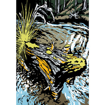 EMILY GRAY KOEHLER: Fine art printmaking, woodcuts and collagraphs