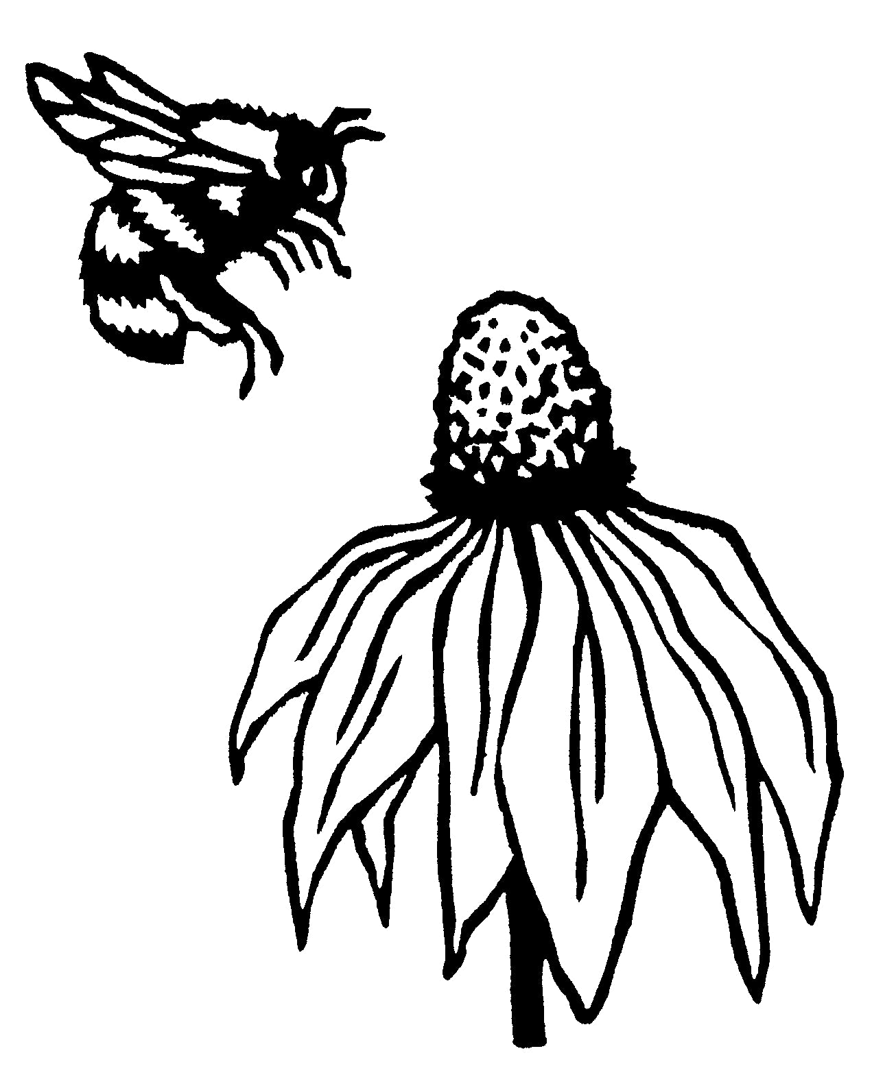 Bee Cards (4 Pack)