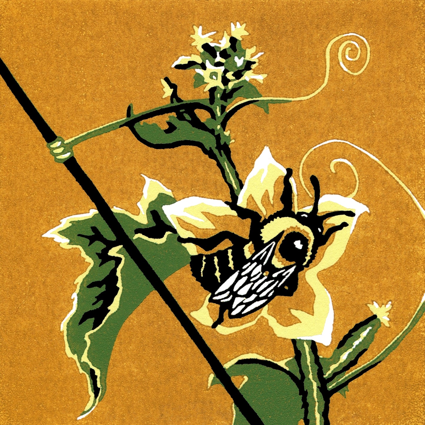 The Industrious Collector (ONLY 1 LEFT!)
